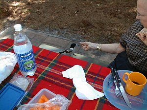 elizabeth feeding butcher bird at central station.jpg (27987 bytes)